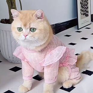猫咪衣服四脚防掉毛薄款 公主风布偶猫加菲猫蓝猫小猫可爱背心夏季