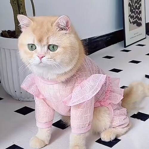 猫咪衣服四脚防掉毛薄款公主风布偶猫加菲猫蓝猫小猫可爱背心夏季