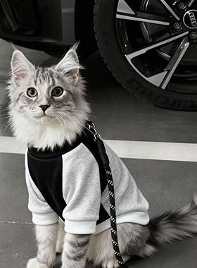 公猫帅气猫咪衣服蓝猫暹罗猫缅因猫小猫狸花猫银渐层豹猫橘猫冬装
