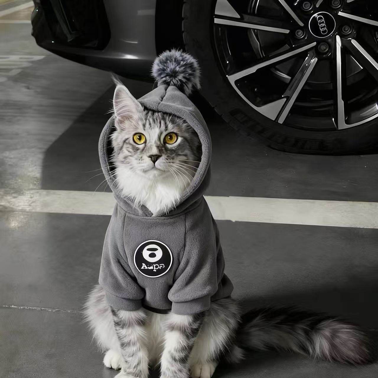 猫咪衣服秋冬公猫帅气蓝猫暹罗猫缅因猫小猫狸花猫银渐层豹猫橘猫
