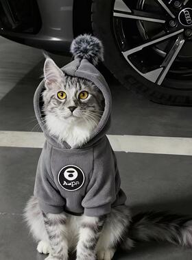 猫咪衣服秋冬公猫帅气蓝猫暹罗猫缅因猫小猫狸花猫银渐层豹猫橘猫