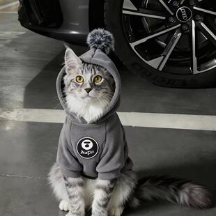 猫咪衣服秋冬公猫帅气蓝猫暹罗猫缅因猫小猫狸花猫银渐层豹猫橘猫
