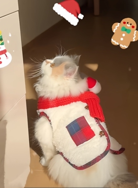 猫咪衣服冬装保暖幼猫缅因猫暹罗猫蓝猫布偶猫金渐层矮脚猫圣诞节