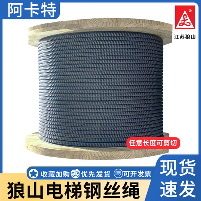 狼山电梯主机专用钢丝绳限速器