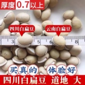 中药材白扁豆500g祛湿药用食用农家自种正宗四川特级老品种黑眉