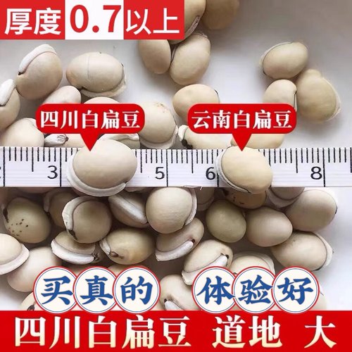 中药材白扁豆500g祛湿药用食用农家自种正宗四川特级老品种黑眉
