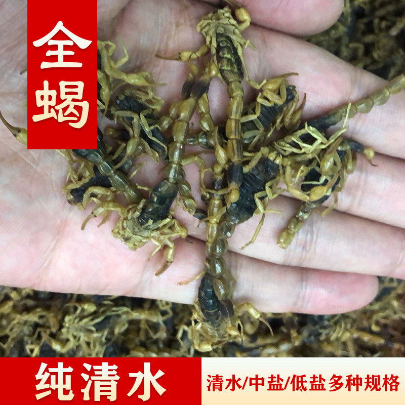 中药材 蝎子干 全蝎 全虫 清水干蝎子 蝎子药用 另有水蛭 蜈蚣干