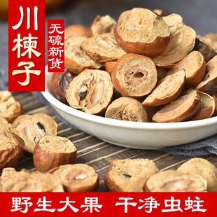 川楝子 500g 中药材 金铃子 川楝实 苦楝子 练实 仁枣 楝树果