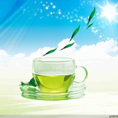 醋五灵脂 1袋 独立小包装 5克 实体店铺