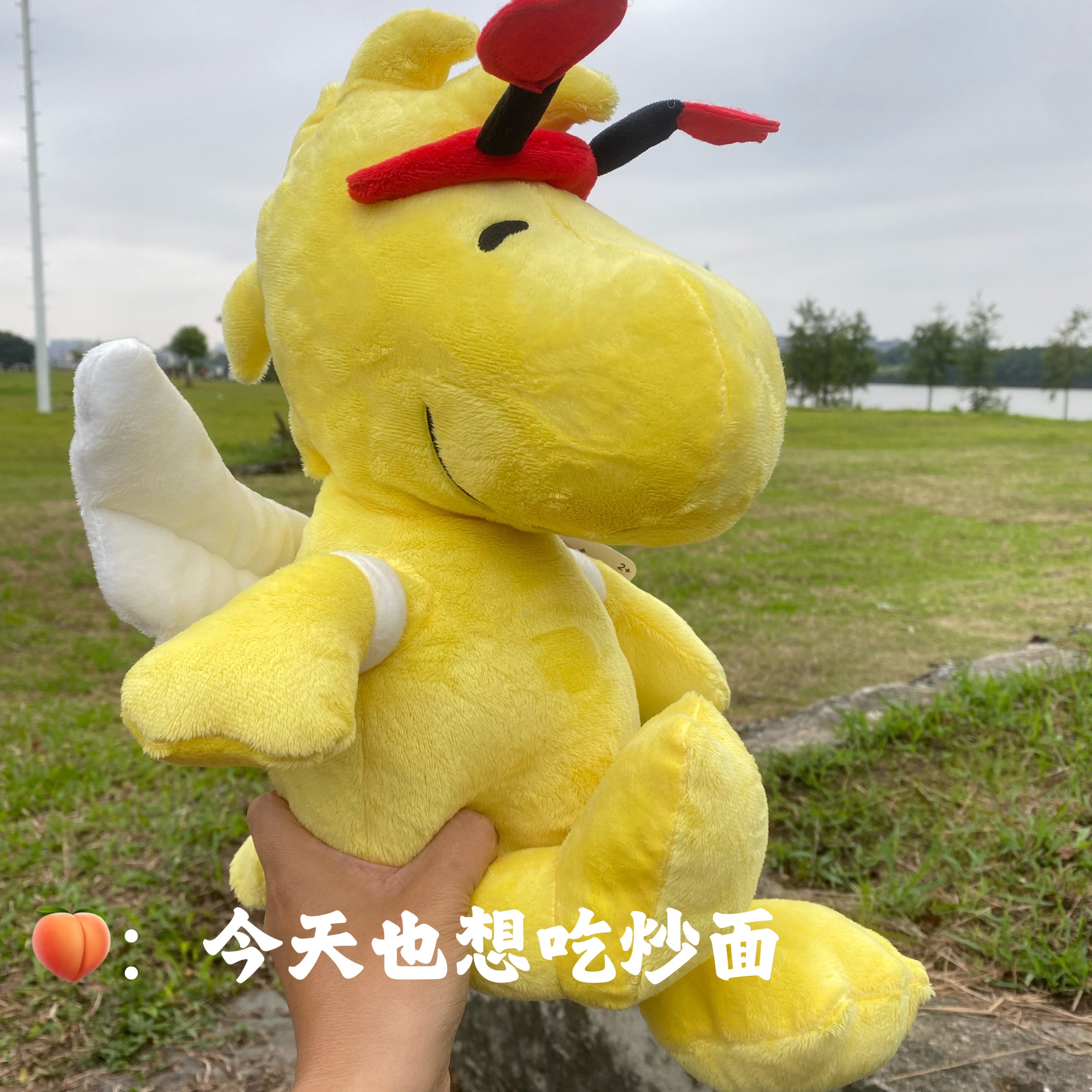 出口尾单 超大只 史努比 糊涂塔克 毛绒公仔玩具
