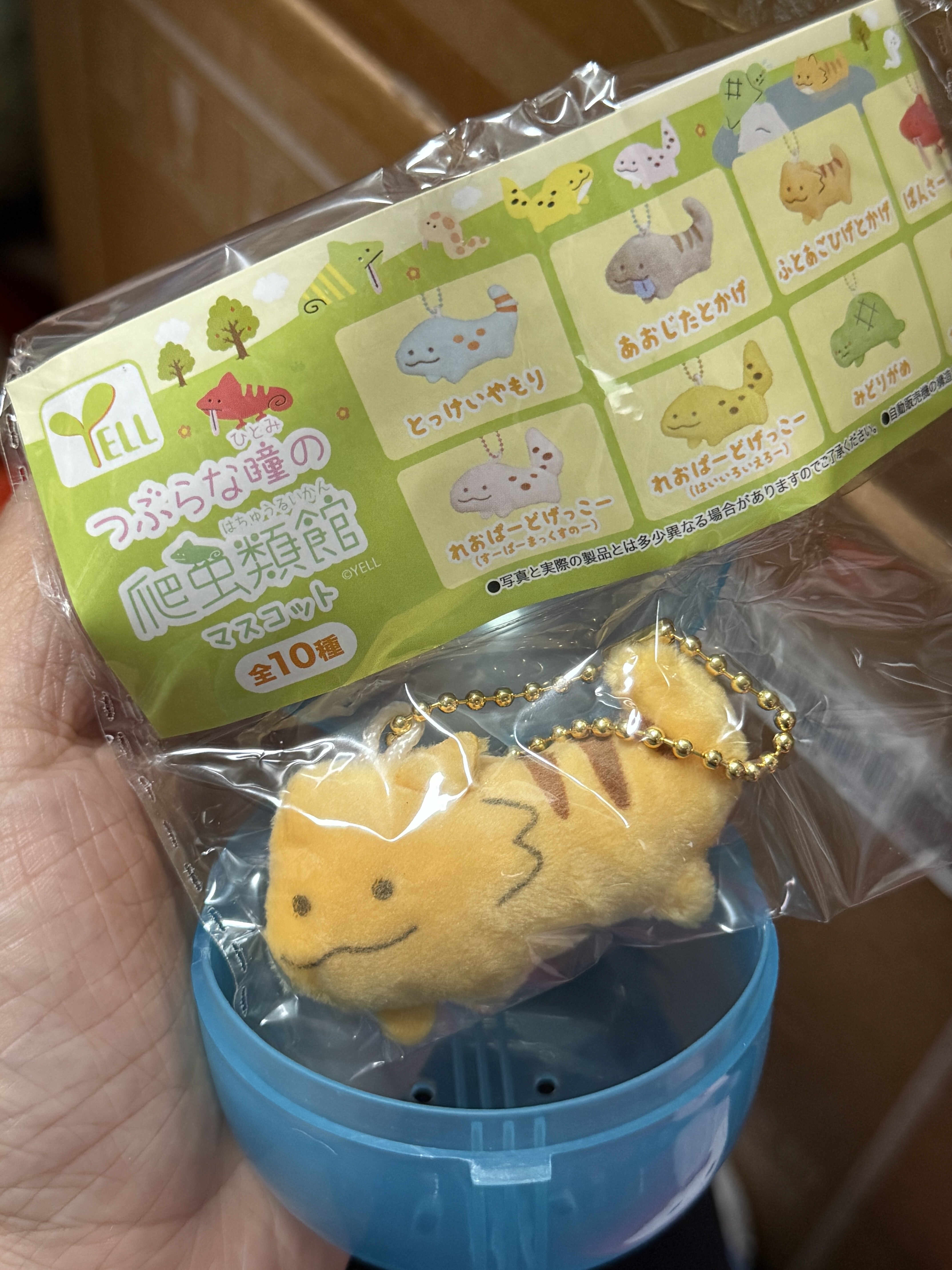 正版现货扭蛋YELL毛绒小眼睛动物小蜥蜴挂件饰品
