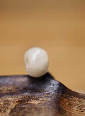 西亚千年白色玛瑙鼓珠车轮古珠6.5x4.3 高古研磨孔 包老保真