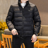 Y9818P2902025高端冬季90%白鸭绒立领羽绒服真模325，男装羽绒服，电商A023