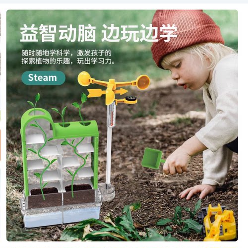 小学生自然生态探索幼儿园实验材料手工种植观察植物科学diy玩具