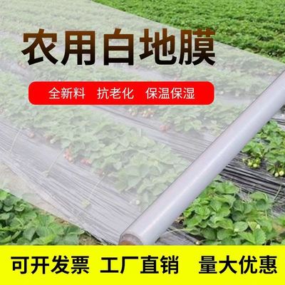 地膜农用种植薄膜农资保温保湿农用膜白色地膜塑料膜蔬菜大棚薄膜