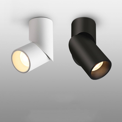 110V ceiling lights track light spotlight Surface mounted 1