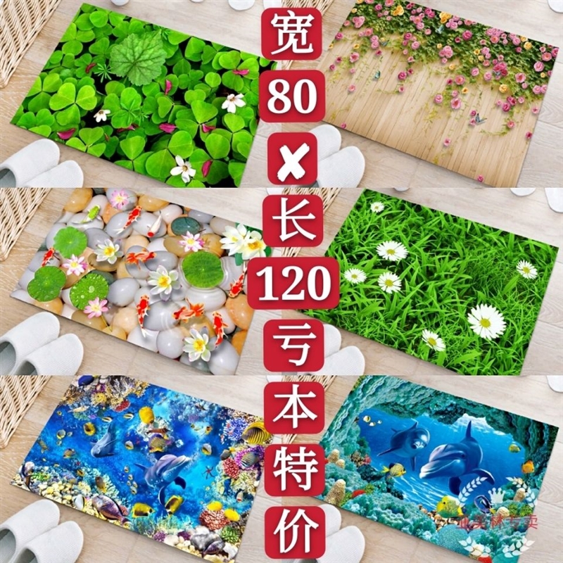 On the door floor, carpet mattresses, water-sucking, foot-st