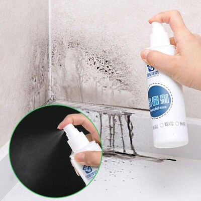 Quickly Remove Mold Rapid Mold Removal Spray Bathroom Wall C