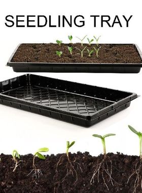 2pc Seedling Starter Tray Seed Germination Plant Flower