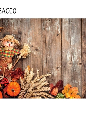 Laeacco Wooden Backdrops For Photography Planks Board Autum