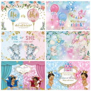 Balloon Flower Newborn Baby Shower Boy Or Girl Gender Revea