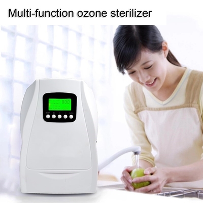500MG/H Ozone Generator 220V DC12V Air Purifiers ionizer O3
