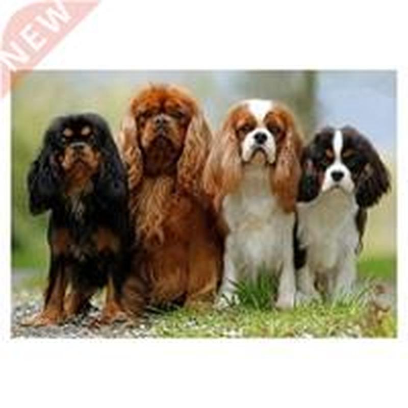 Diy Diamond Embroidery Cavalier King Charles Spaniel