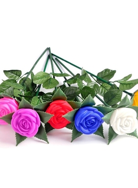 Rose Romantic Outdoor Yard Garden Path Way Tulip Bar Landsc