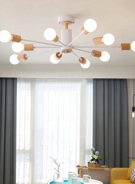 Multiple Rod metal chandelier Mordern Iron Ceiling Lamp E27