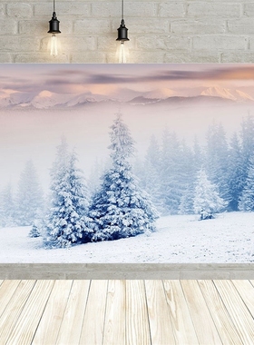 Avezano Photography Backgrounds Winter Snow Sunshine Forest