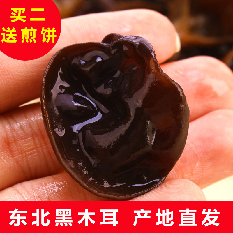 东北新货黑木耳东宁黑山秋木耳特产干货野生无根肉厚小婉耳250g