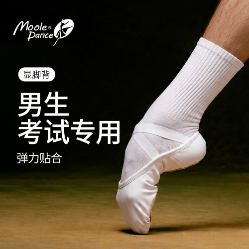 弹力布男士专用练功鞋白色舞蹈鞋