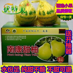 南康甜柚江西赣南甜柚柚子斋婆柚沙田柚晚熟柚净重包邮