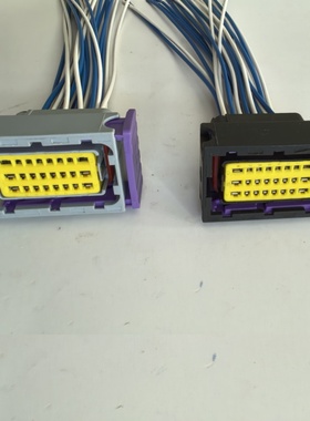 适用汽车油改气电脑板ECU24孔连接器ECU发电机控制器改装插头