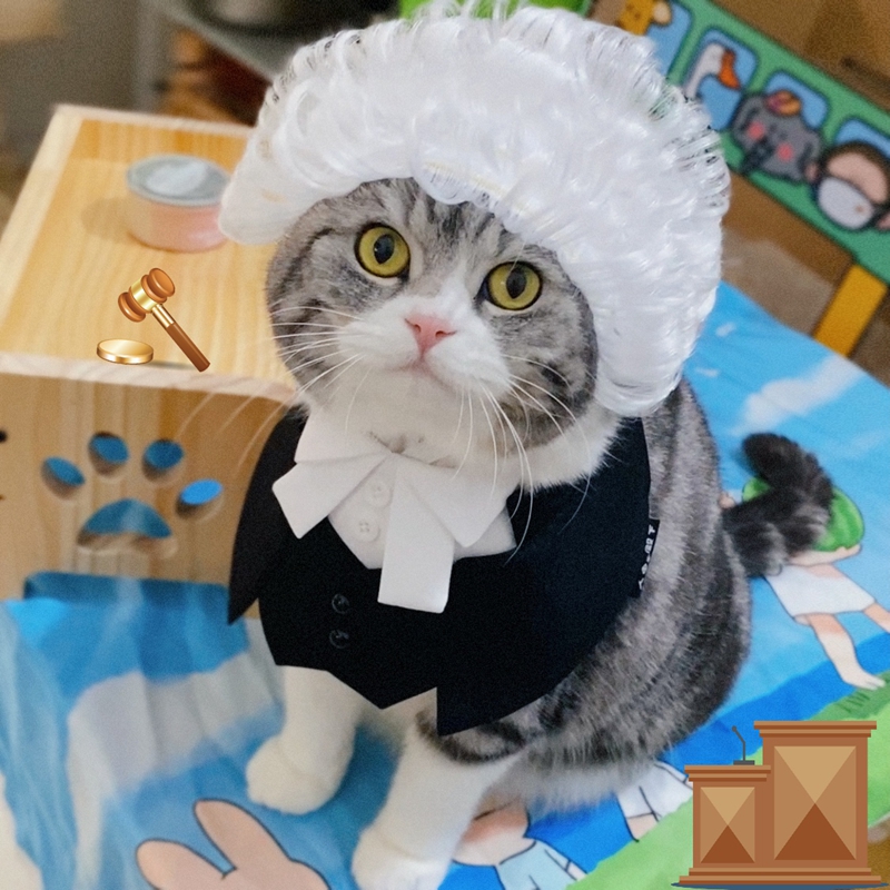 变身小律喵搞笑猫咪律师袍围脖帽子宠物法官变装搞怪可爱猫咪服饰