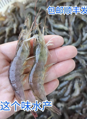 现货4斤顺丰国产淡水养殖南美白对虾速冻对虾40头50头商用包邮