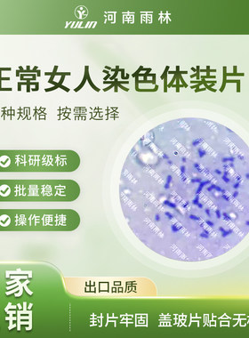 正常女人染色体装片生物标本切片动物植物细胞载玻片观察实验高校