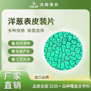 雨林切片洋葱表皮装片根尖纵切示有丝分裂花药减数分裂示线粒体