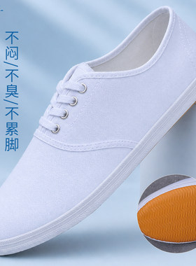 经典小白鞋男女情侣帆布鞋系带休闲鞋百搭工作鞋不闷脚软底低帮