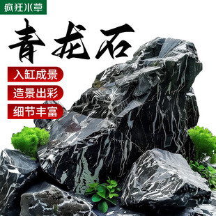 疯狂水草青龙石假山鱼缸石头造景石假山石鱼缸装饰摆件石头水族箱