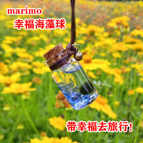 海藻球宠物marimo随身水晶生态
