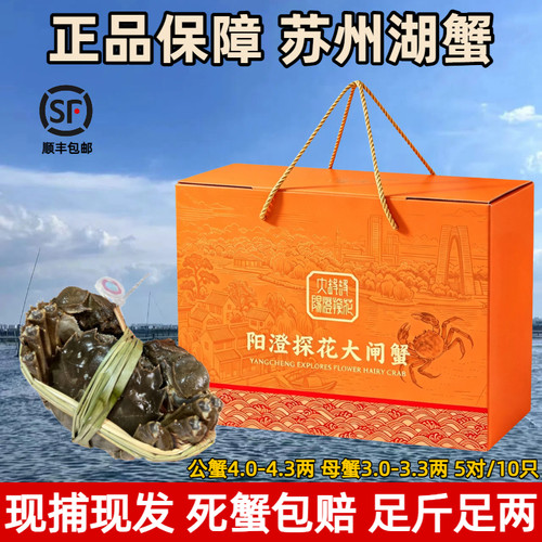活蟹苏州阳澄探花大闸蟹公蟹5.0两全母蟹10只鲜活特大螃蟹礼盒装