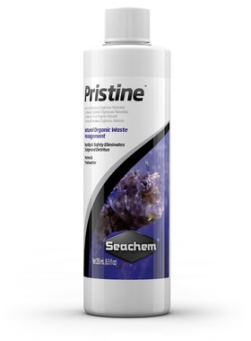 美国 SEACHEM 海化 Pristine 混合菌液体 蛋白质分离器水质清洁剂
