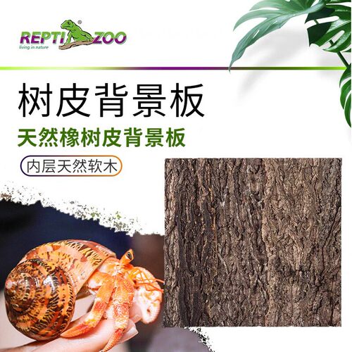 寄居蟹造景树皮背景板
