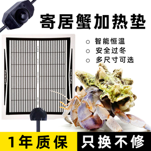 寄居蟹加热垫～冬季保温 恒温三档调温 多尺寸可选 大号小号保暖