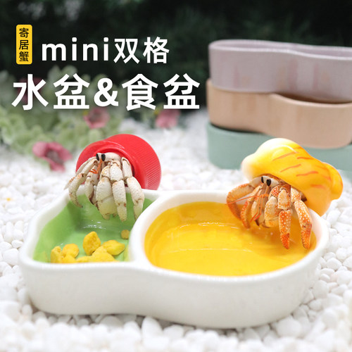 寄居蟹mini双格水盆胡萝卜双格