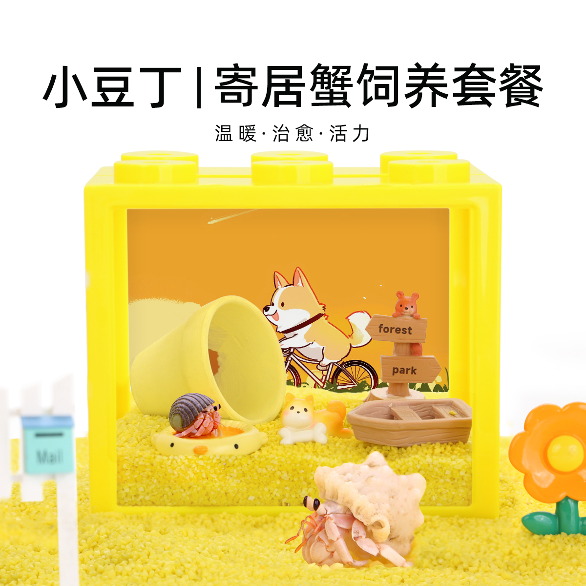 陌派可爱豆丁寄居蟹饲养套装套餐~饲养盒箱办公桌面萌宠儿童礼物