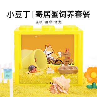 陌派可爱豆丁寄居蟹饲养套装套餐～饲养盒箱办公桌面萌宠儿童礼物