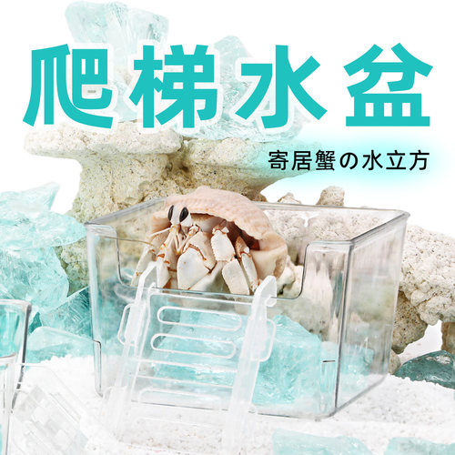寄居蟹高透水盆泡澡盆