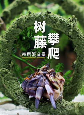 寄居蟹攀爬藤条～大小号造景爬宠过江龙可任意弯曲装饰树藤藤蔓
